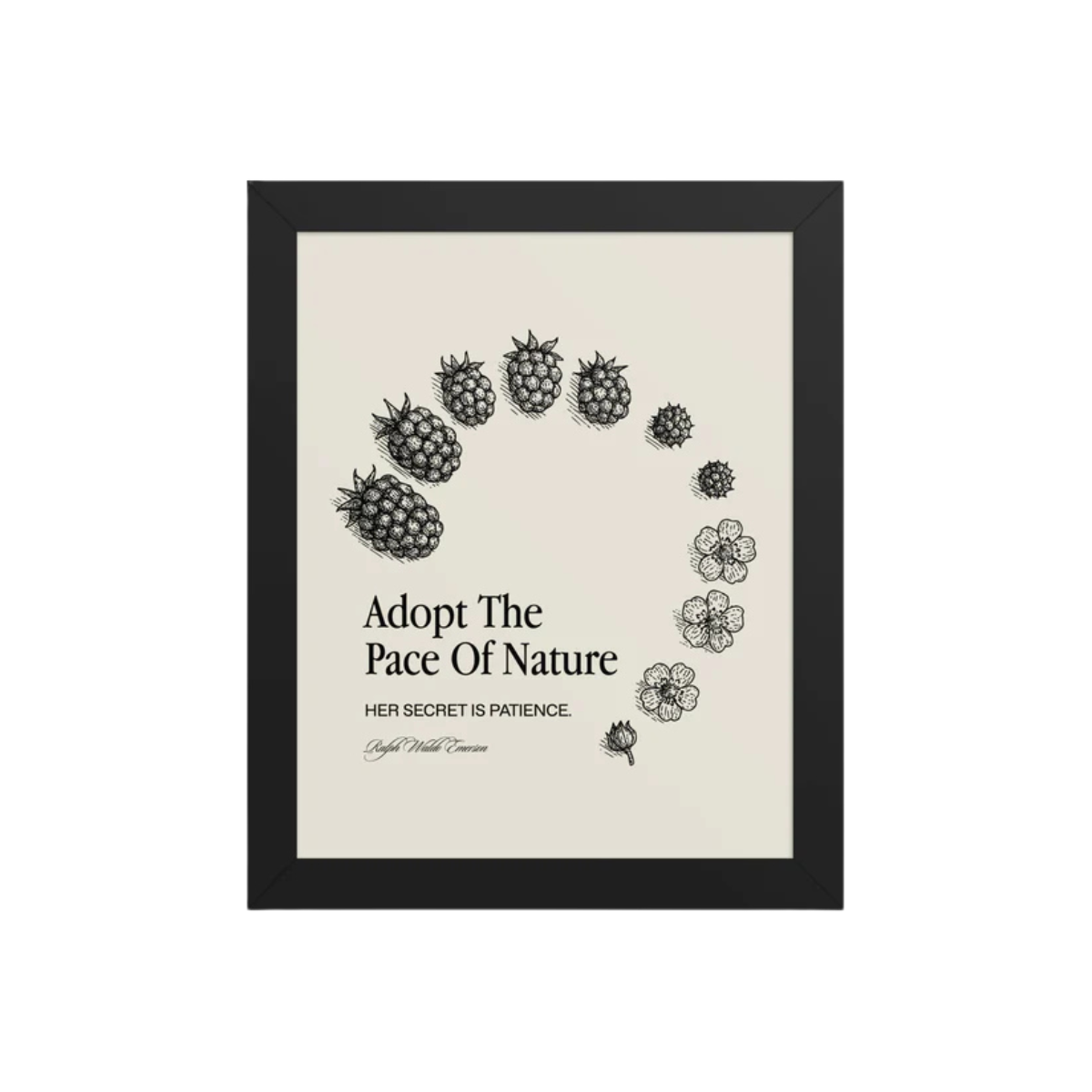 Pace of Nature Framed poster