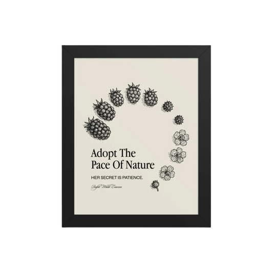 Pace of Nature Framed poster