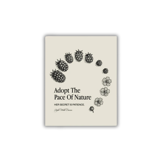 Pace of Nature Poster